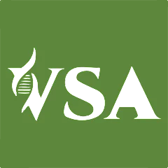 vsa